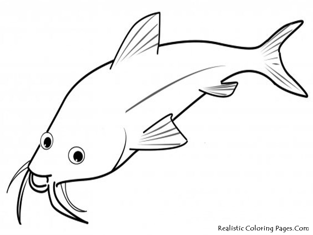 Realistic Fish Drawing at GetDrawings | Free download