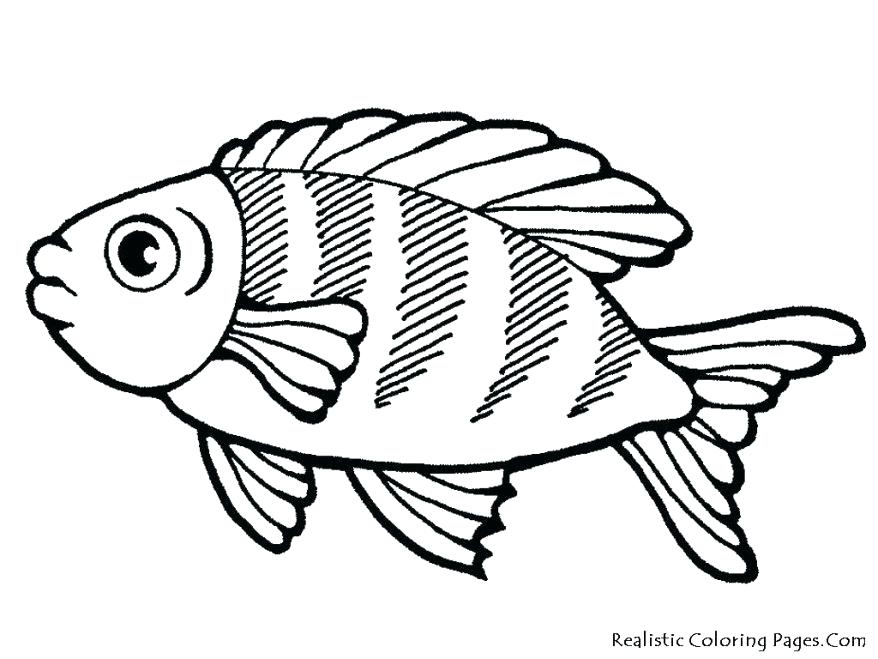 878x659 Tropical Fish Coloring Pages Coloring Sea Life Coloring Pages