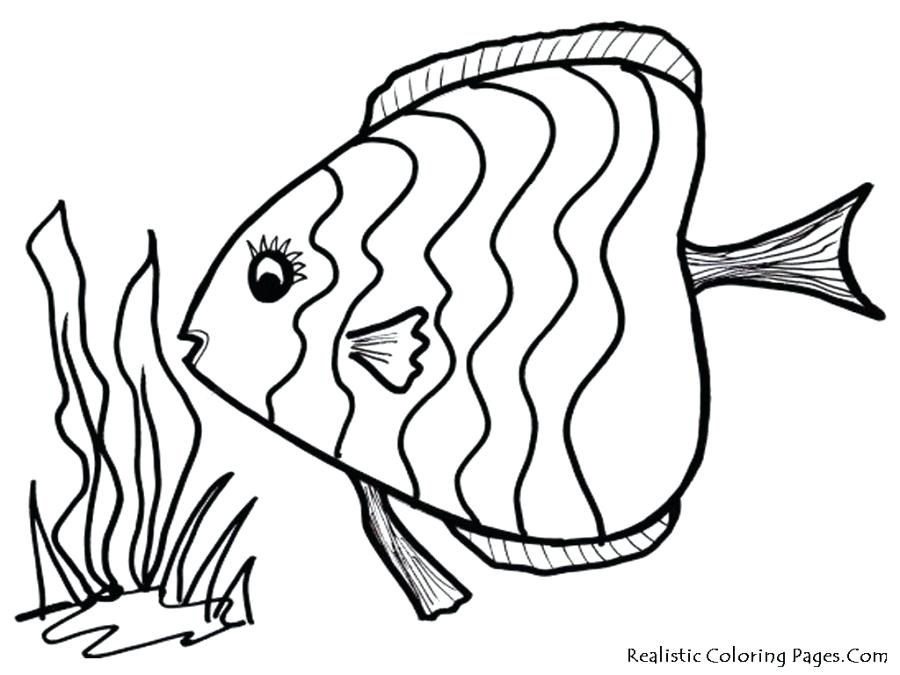 900x675 Tropical Fish Coloring Pages Pin Tropical Fish Big Fish 4 Tropical
