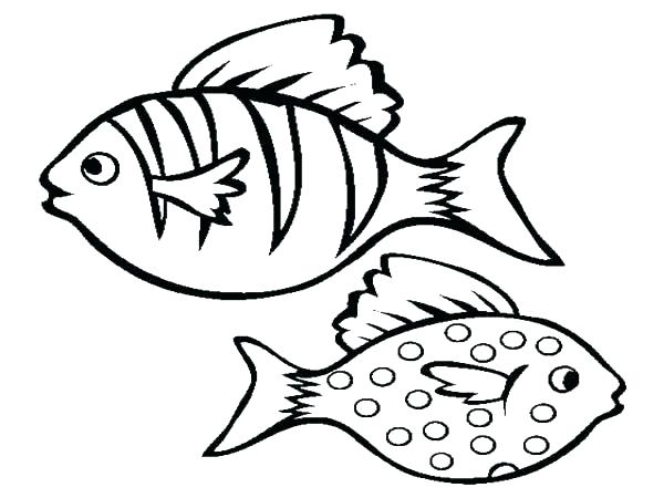 600x450 Coloring Pages Of Fish Fish Coloring Page Coloring Pages Fish Tank
