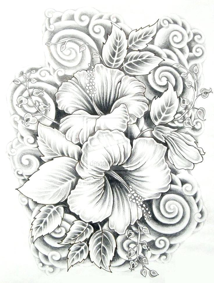 736x973 Hawaiian Flowers To Color Beautiful Flower Drawings And Realistic