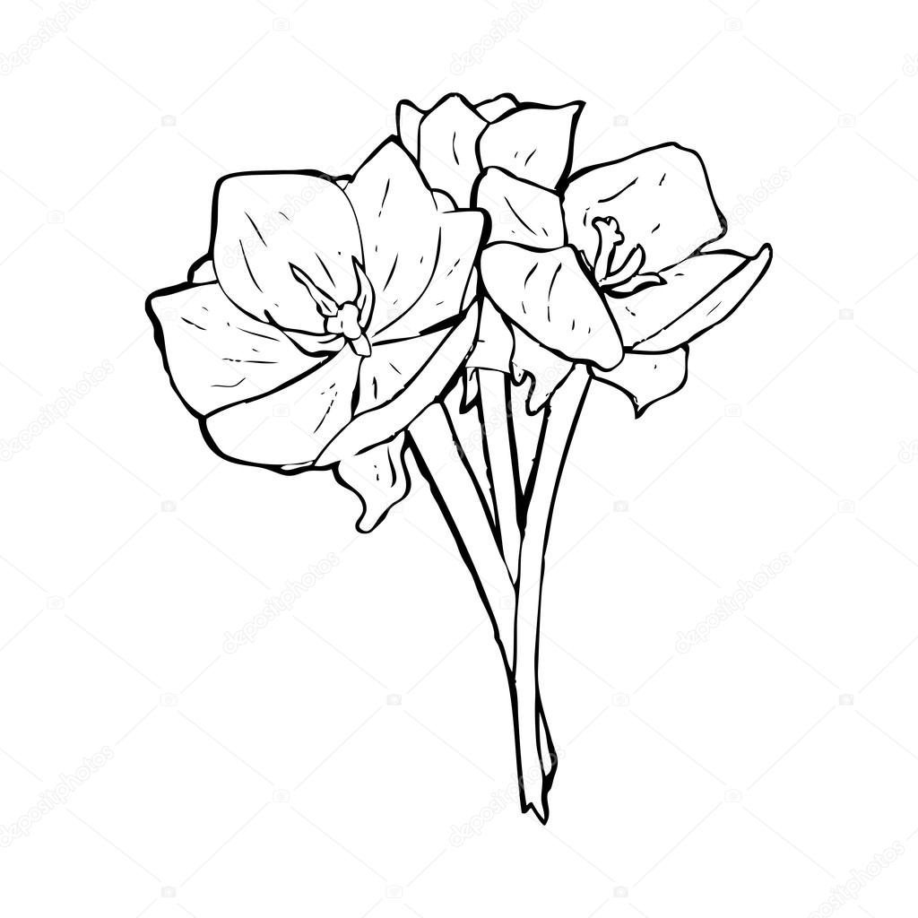 1024x1024 Realistic Flower Illustration Stock Vector Lineartestpilot