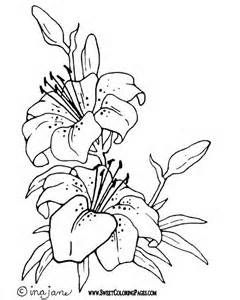 240x300 Realistic Flower Coloring Pages
