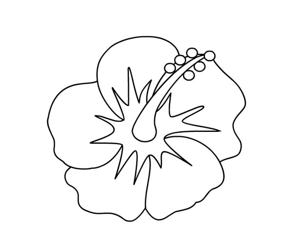 600x514 Hibiscus Coloring Pages Of Flowers To Print Flower Coloring Pages