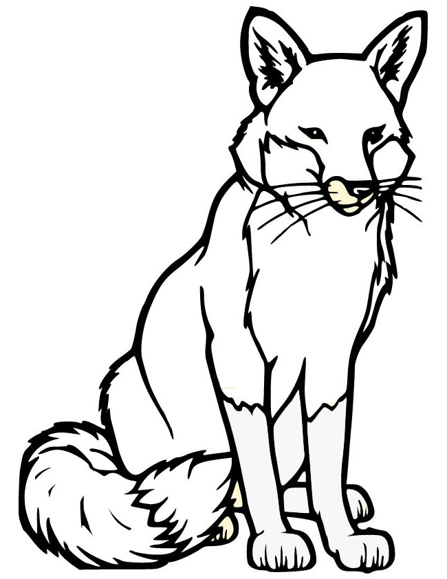 650x842 Fox Template