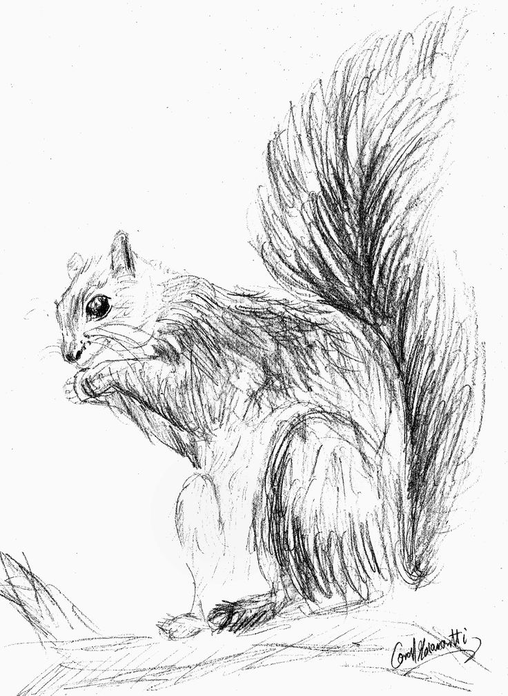 736x1008 25 Best Monos Agosto 2013 Images On Rompers, Funny