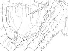 235x175 Realistic Bush Drawing