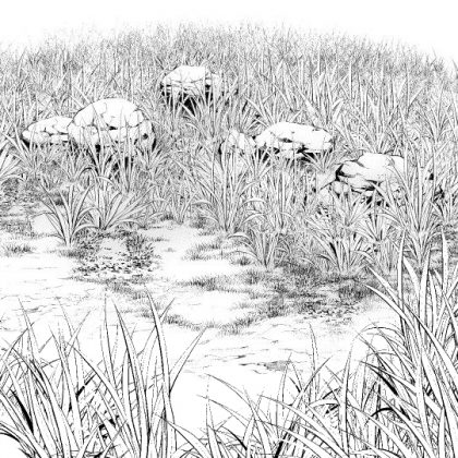 420x420 Don'T Lose To The Abusive Large Number! Draw A Perspective