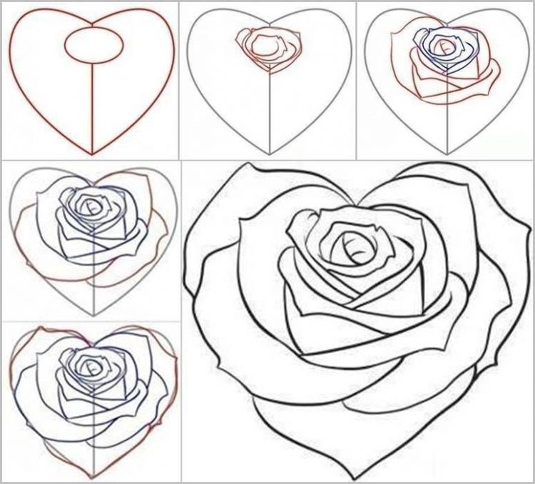 750x678 Drawing How To Draw A Realistic Rose Step By Step For Beginners