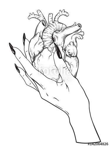 375x500 Human Heart In Graceful Female Hand Isolated. Sticker, Print