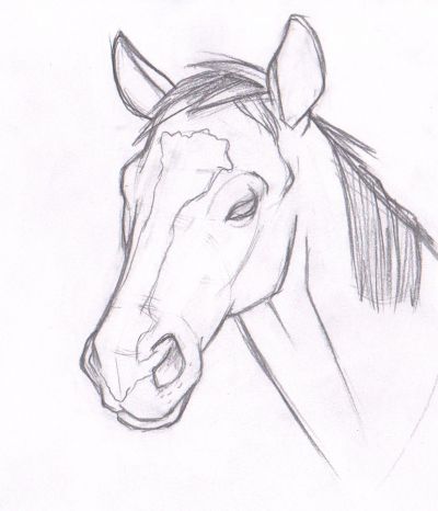 400x466 Horse Head Drawings Realistic Coloring Pages Howwhat To Draw