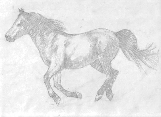 640x466 How To Sketch A Realistic Running Horse Horse, Sketches