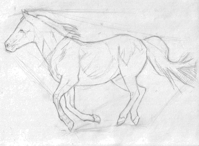 640x469 How To Sketch A Realistic Running Horse Sketches, Horse