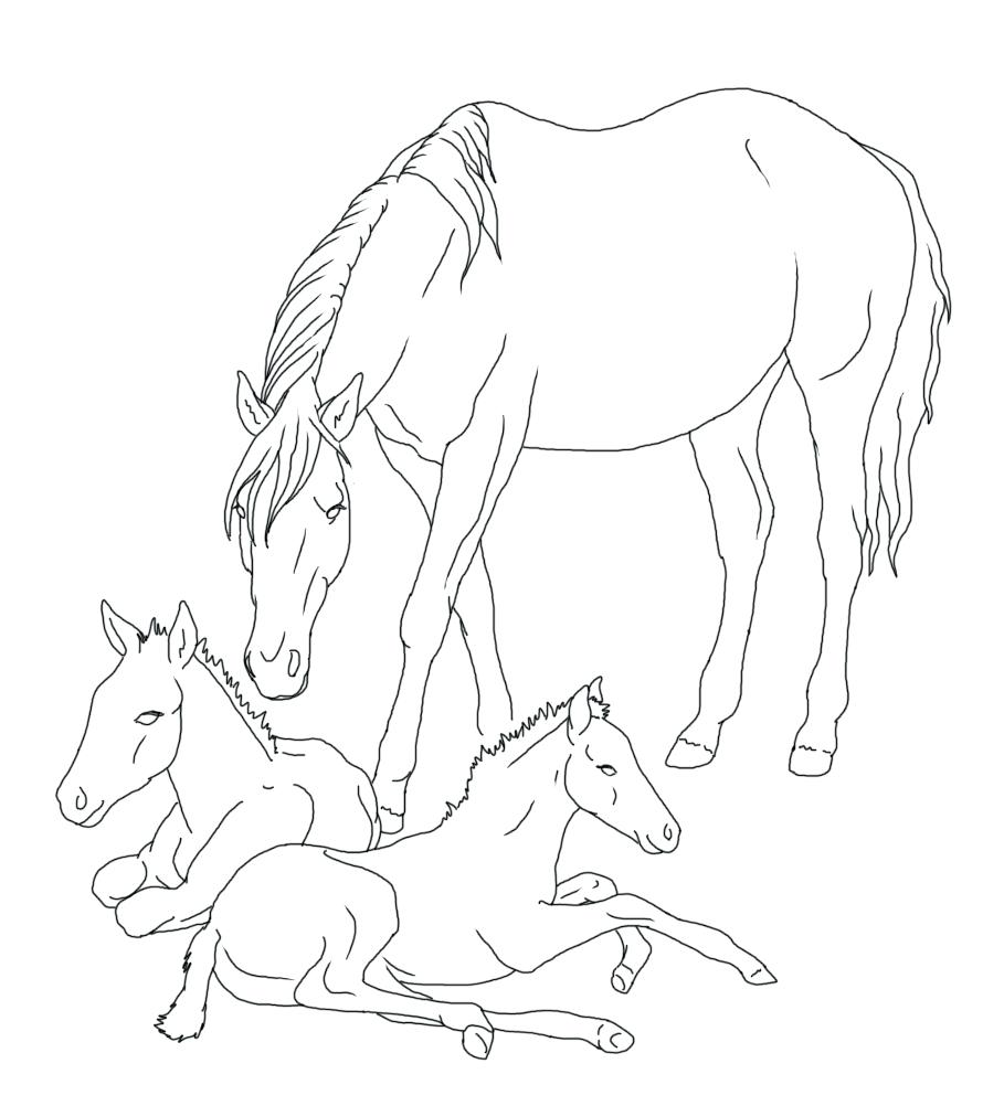 909x1002 Coloring Realistic Horse Coloring Pages. Realistic Horse Coloring