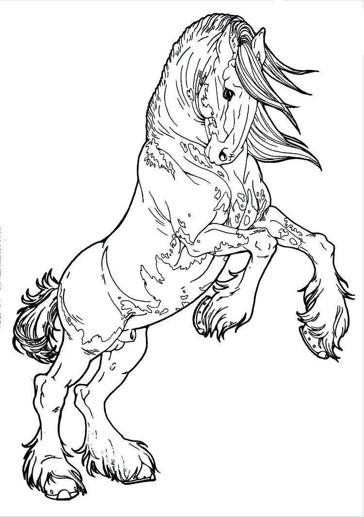 750x1066 Coloring Realistic Horse Coloring Pages