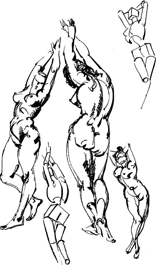 511x866 How To Draw People With Human Anatomy Lessons How To Draw