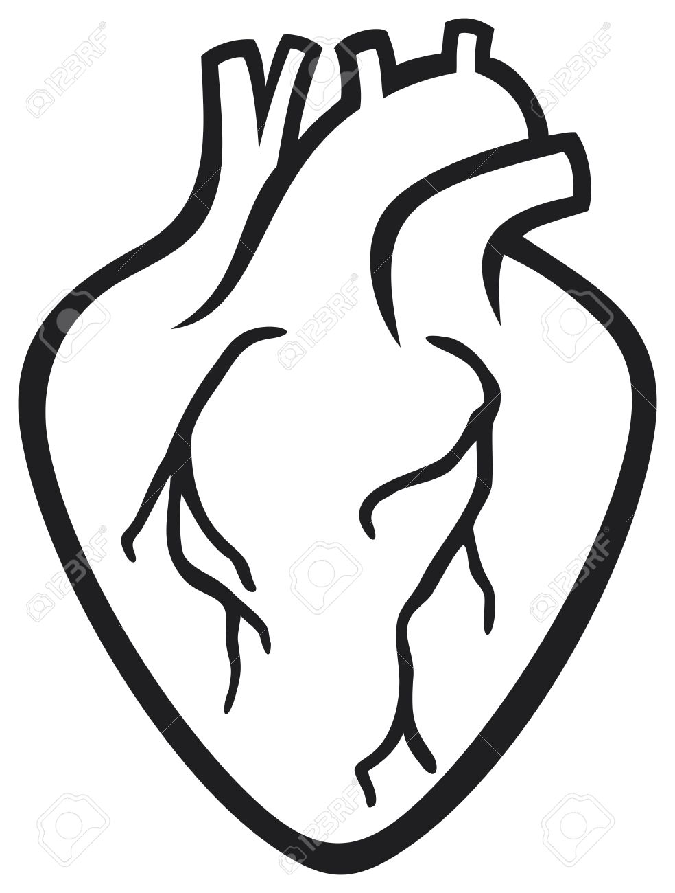 984x1300 Human Heart Royalty Free Cliparts, Vectors, And Stock Illustration