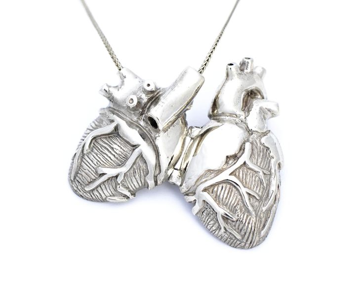 735x588 The Best Anatomical Heart Ideas On Human Heart