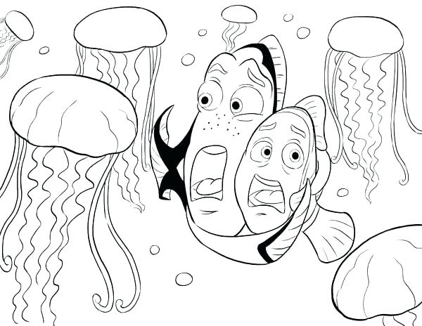 600x464 Best Of Jellyfish Coloring Page Pictures X Jellyfish Coloring