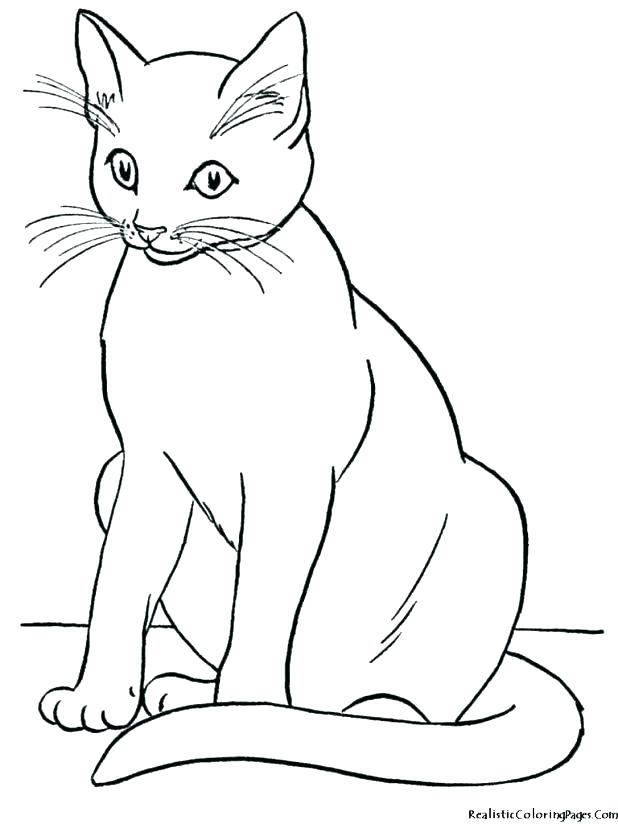 618x824 Awesome Coloring Pages Of Cats Online Page Kitten Free Website