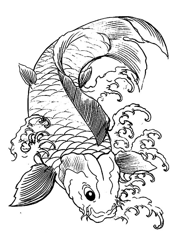600x806 Koi Fish Coloring Pictures Koi Fish Colouring Pictures