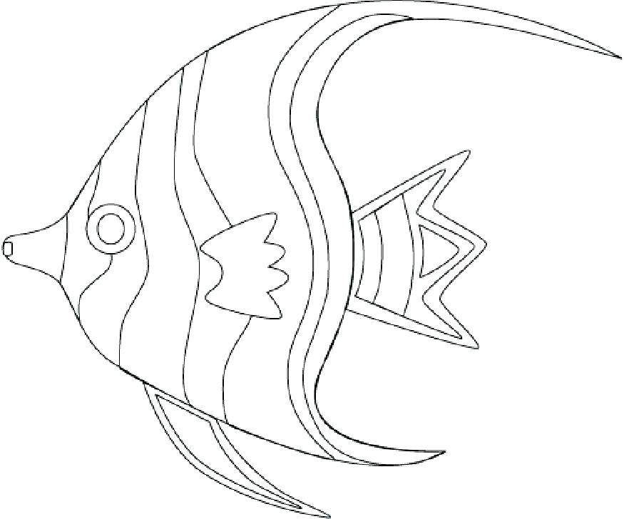 875x728 Realistic Fish Coloring Pages Free Printable Fish Coloring Pages