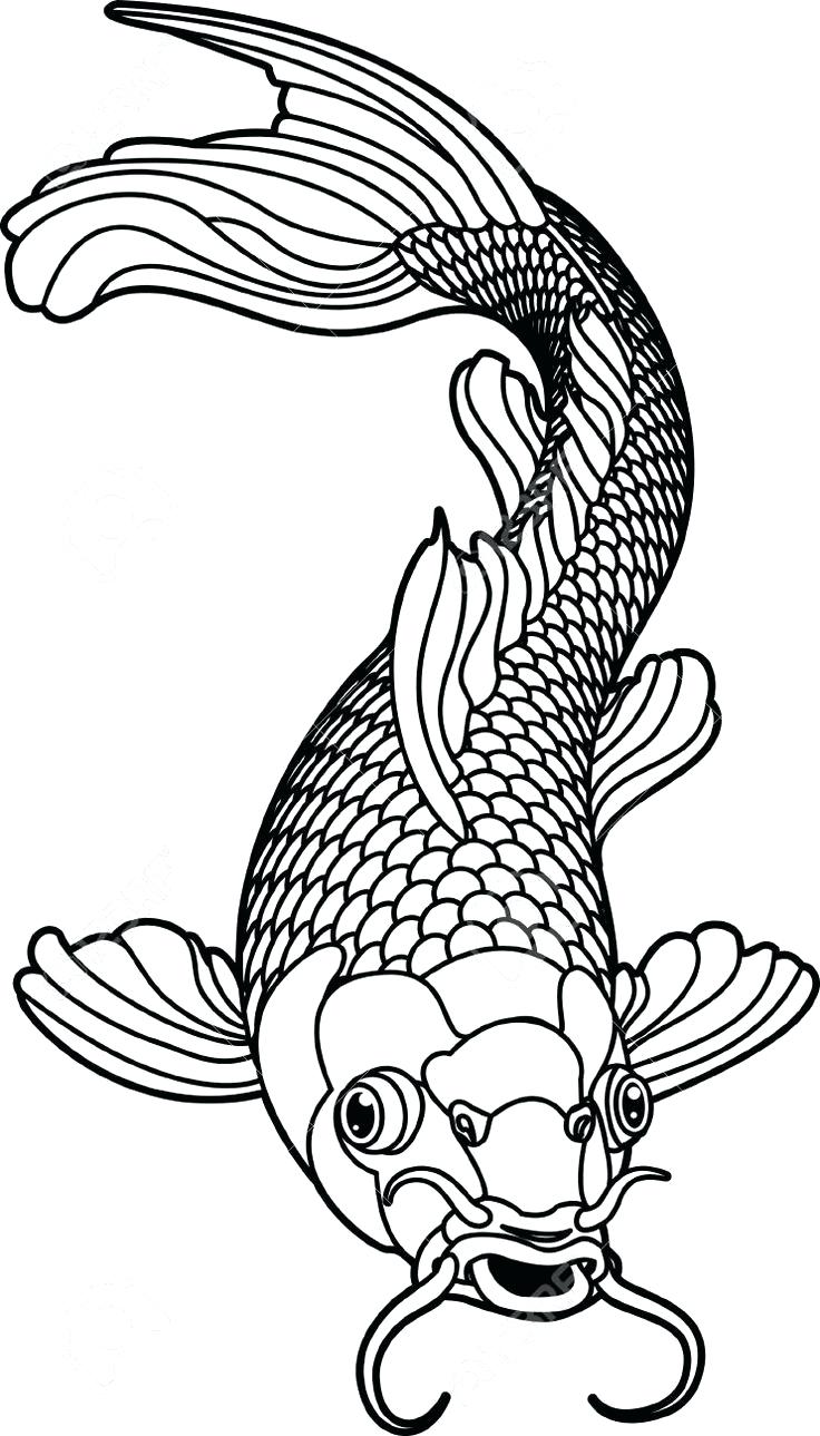736x1289 Coloring Koi Fish Coloring Page Carp Tattoo Google Search