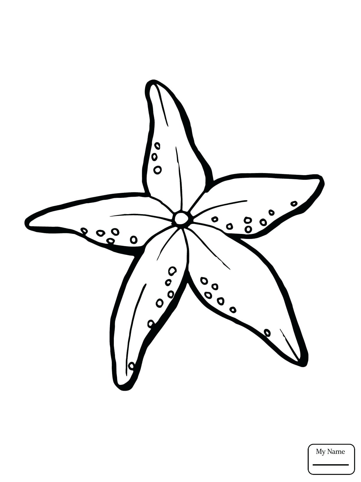 1224x1632 Coloring Realistic Fish Coloring Pages Starfish Koi. Realistic