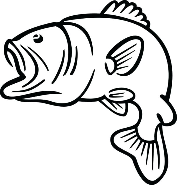 600x626 Koi Fish Coloring Page Hindi