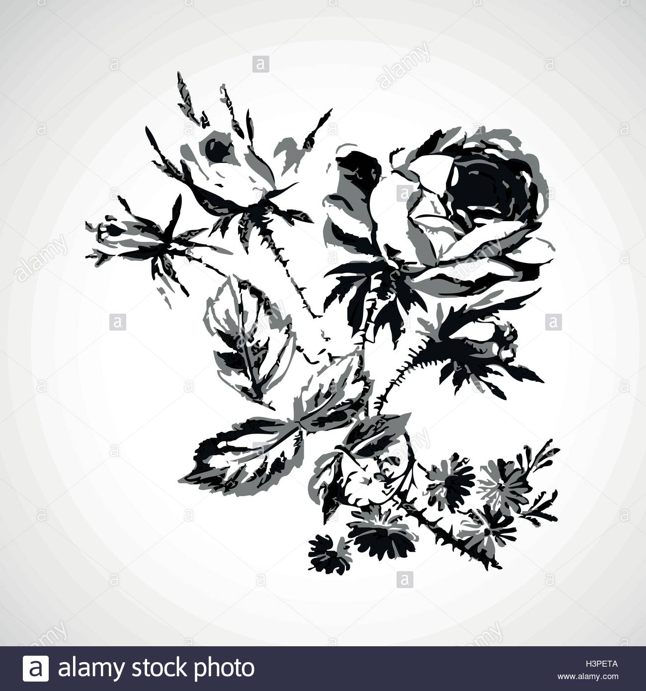 1300x1390 Hand Drawn Roses Vintage Isolated Background Vector Illustration