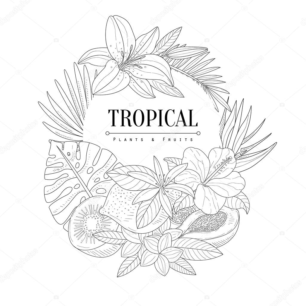 1024x1024 Topical Fruits And Plants Logo Hand Drawn Realistic Sketch Stock