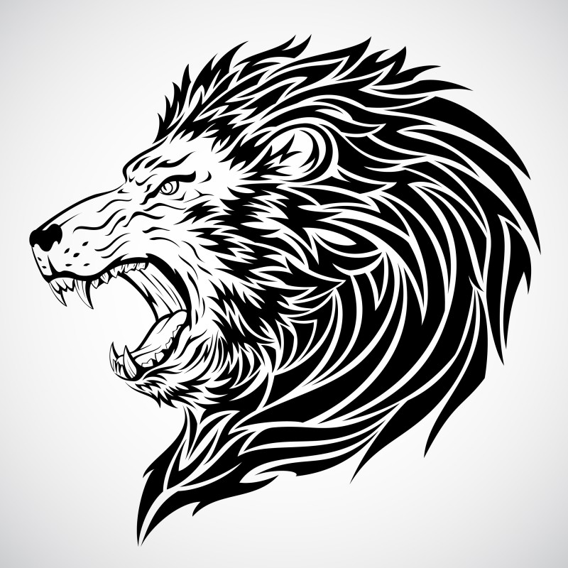 800x800 Furious Roaring Lion's Head Black And White Realistic Detailed
