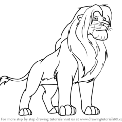 250x250 Lion Drawing, Pencil, Sketch, Colorful, Realistic Art Images