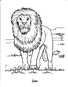 236x303 Week 3 Upside Down Lots Of Animal Coloring Pages Lion Coloring