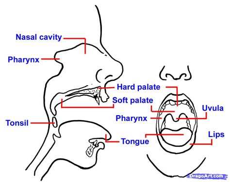 474x376 How To Draw Realistic Lips, Sketch Lips Step 1 How To Draw