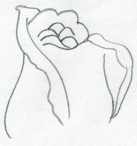 277x294 How Draw A Rose Good How