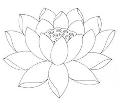 236x206 Pictures Pencil Draw Lotus Flower,