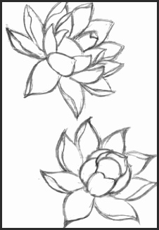 226x327 Pretty Flower Sketches Snvcn Inspirational 40 Beautiful Flower