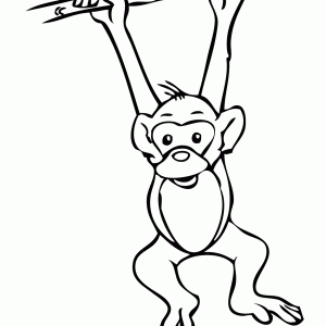 300x300 Realistic Rainforest Monkey Clipart Kid Realistic Colouring Pages