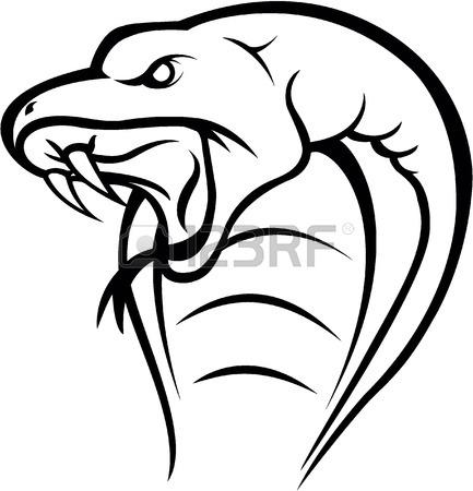 433x450 King Cobra Stock Photos. Royalty Free Business Images