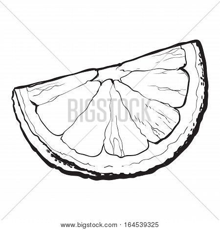 450x470 Realistic Colorful Hand Drawn Vector Amp Photo Bigstock