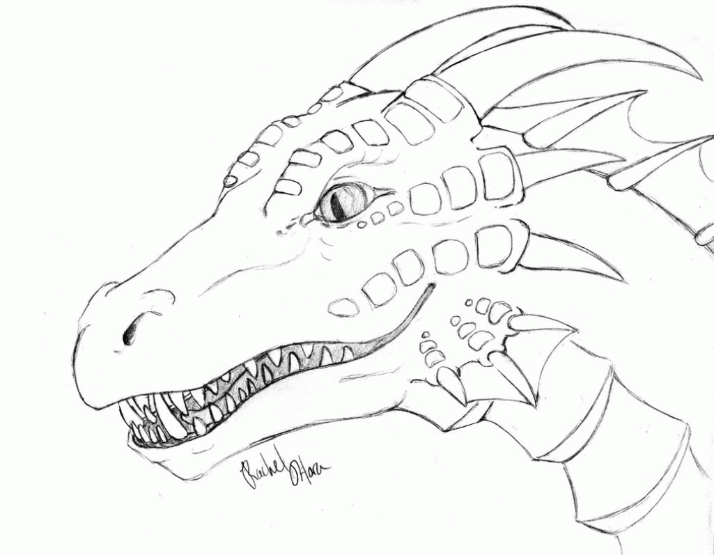 1025x797 Realistic Dragon Coloring Pages For Cure Draw Adults 12