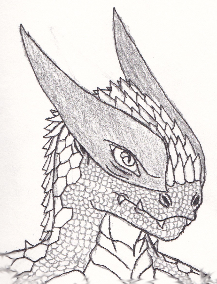 896x1171 Realistic Zygrian Sketch By Shade743