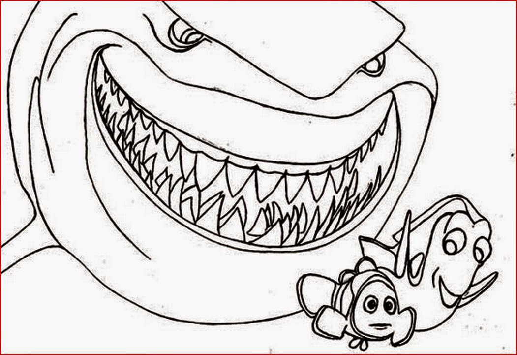 1051x721 Coloring Pages Fabulous Shark Coloring Pages Filminspector Com