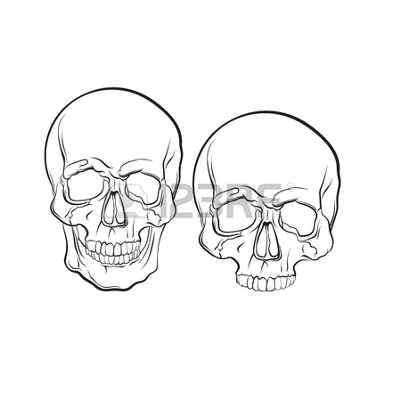 450x450 Vector Illustration Of Beautiful Mermaid With Long Hair And Sea