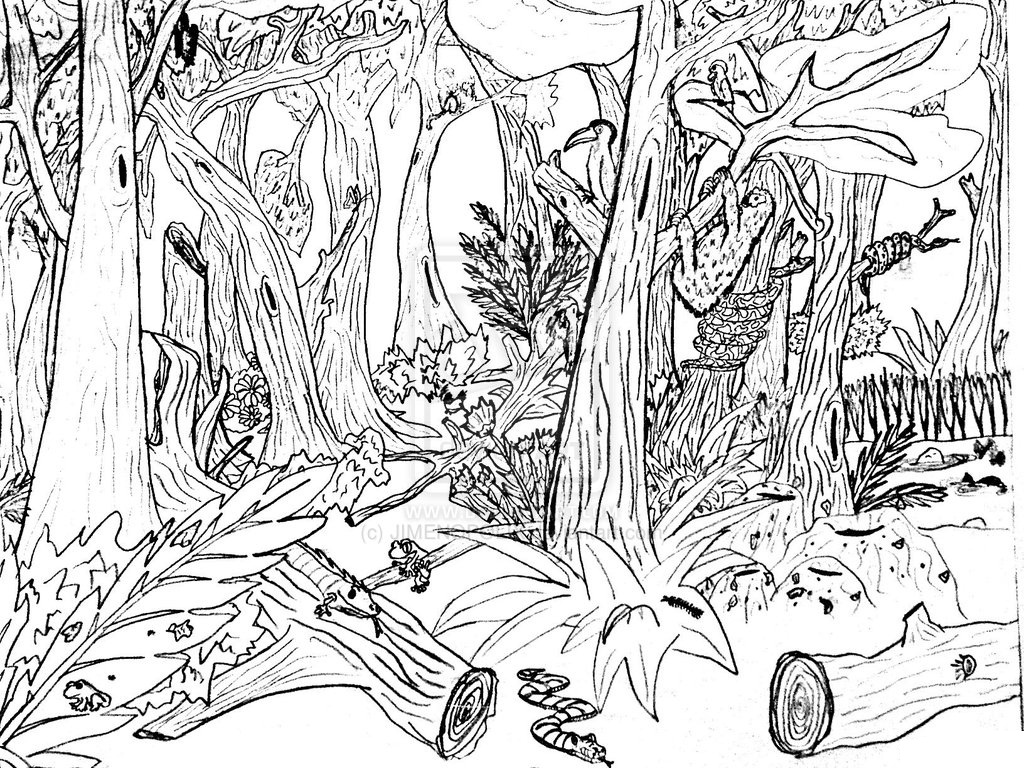 1024x768 Free Printable Coloring Pages For Nature Free Printable Coloring