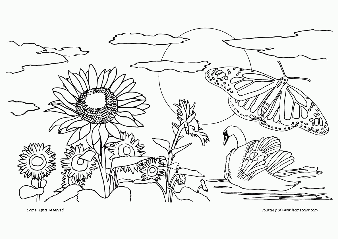 1189x840 Nature Coloring Games Nature Coloring Pages For Adults