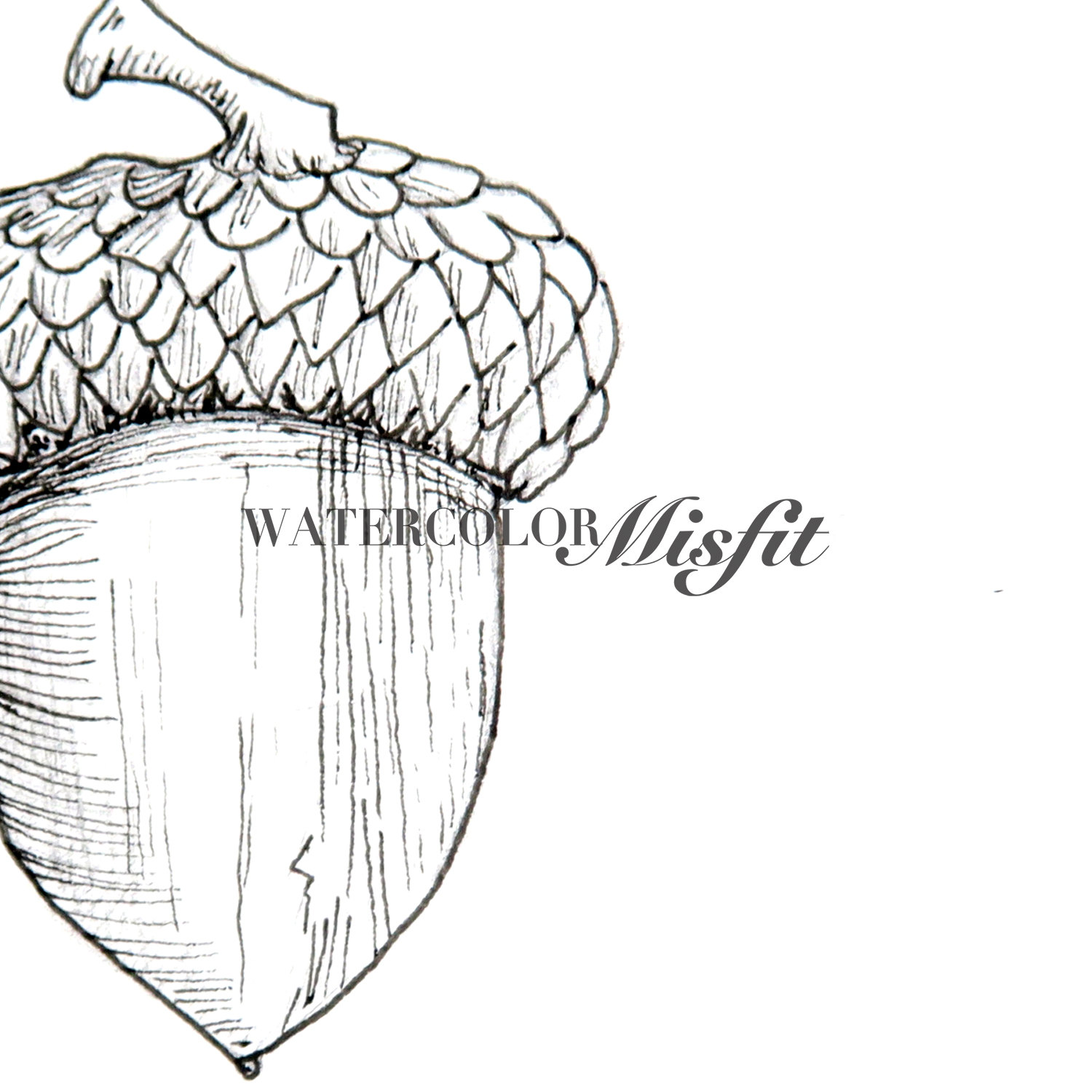 1500x1500 Realistic Nature Lover's Lined Drawing Pack From Watercolormisfit