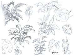 236x179 Sketchbook Tree Nature Journal, Sketchbooks And Printmaking