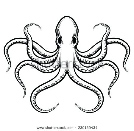 Realistic Octopus Drawing at GetDrawings | Free download